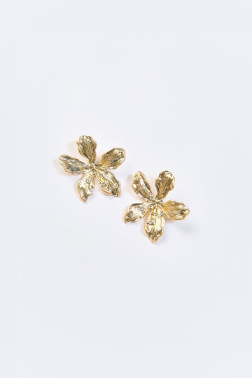 Aretes Topo Flor Piedras Brillantes Dorados